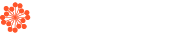 Tozz Brasil